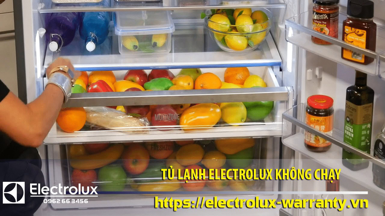 Fresh colorful fruits inside an Electrolux refrigerator with non-working cooling system, featuring clean interior and organized shelves.