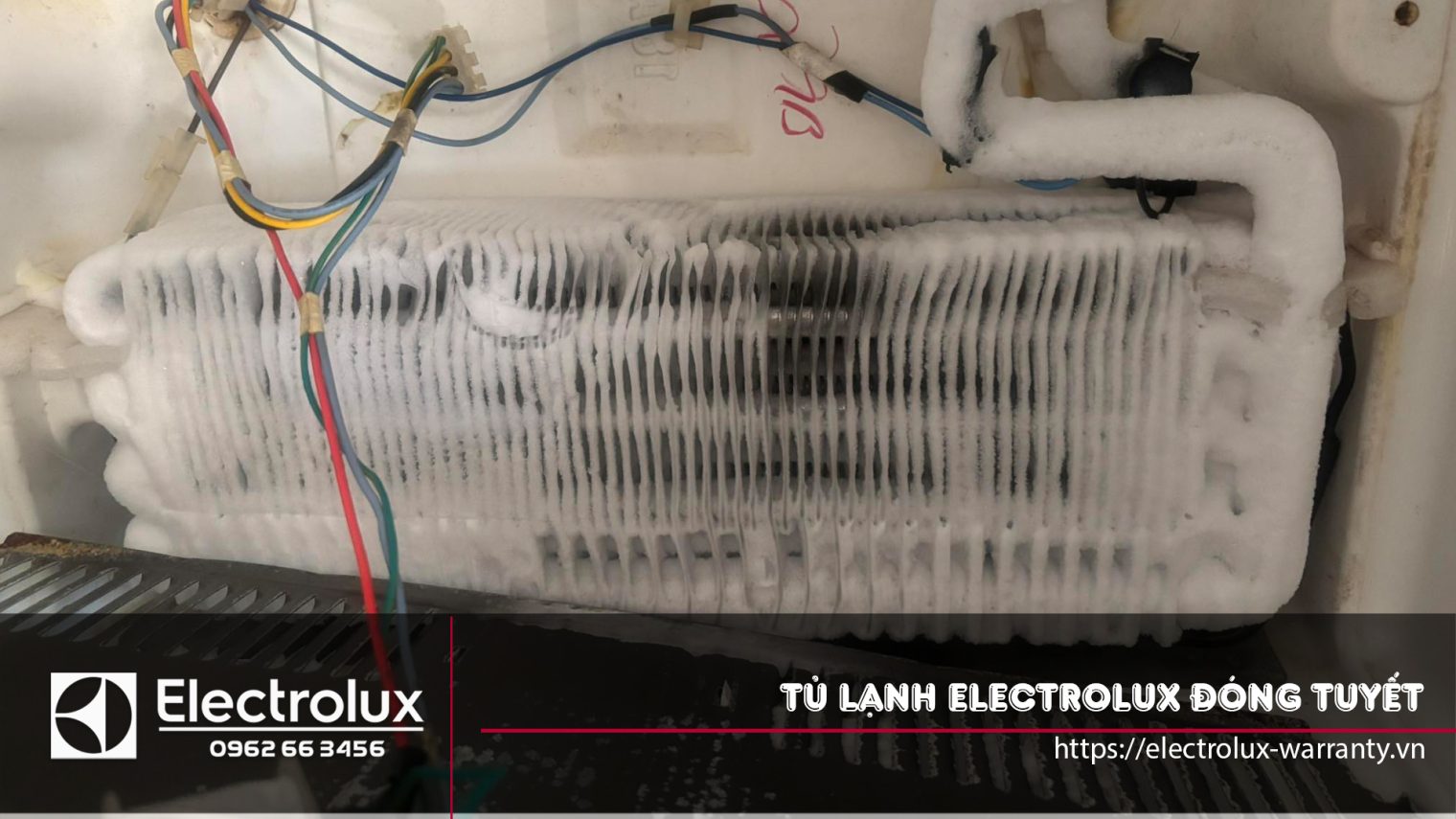 5 lý do tủ lạnh Electrolux bị đóng tuyết