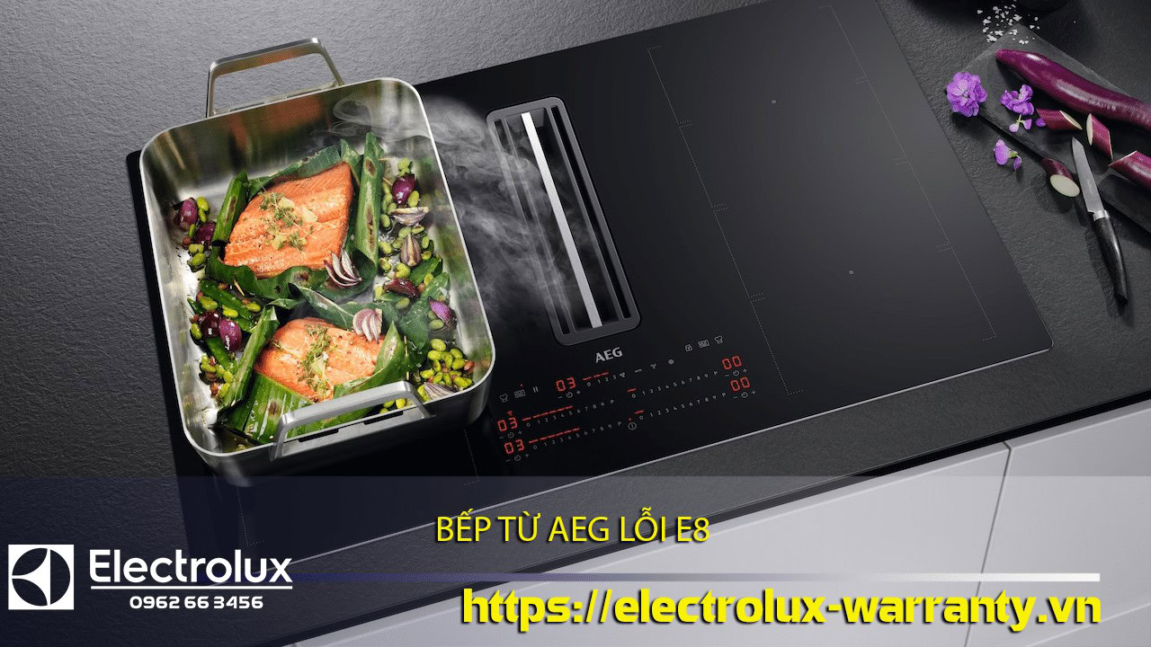Freshly cooked salmon with vegetables on an induction cooktop, showcasing Electrolux E8 stove technology, perfect for modern kitchens and reliable warranty services.